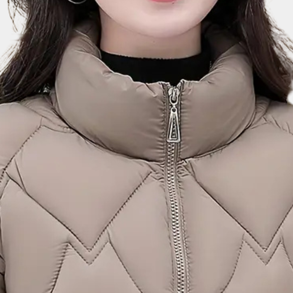 Deandra Quilted Puffer Jacket with Stand Collar