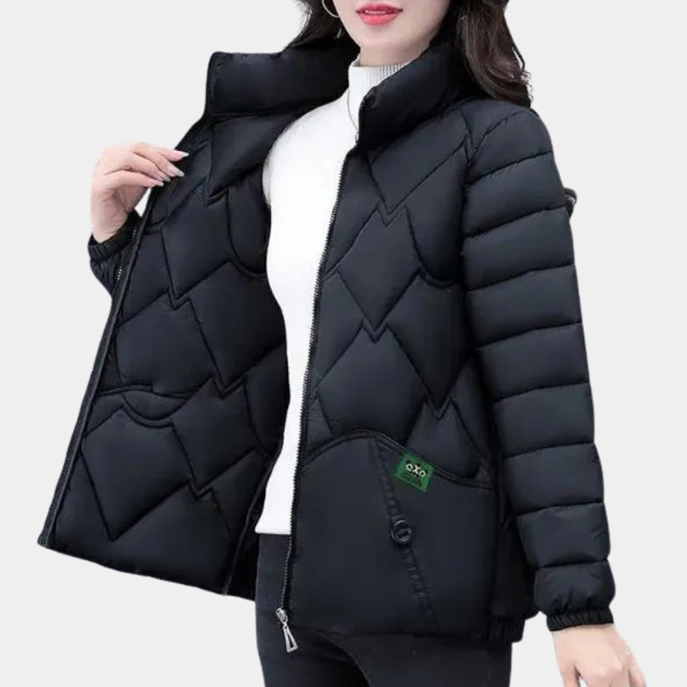 Deandra Quilted Puffer Jacket with Stand Collar - Black
